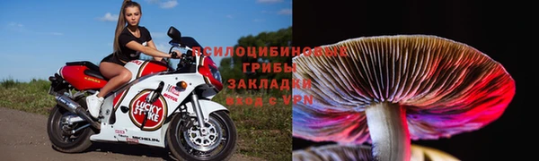 прущая мука Аркадак