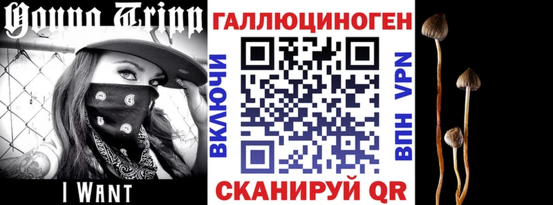 Галлюциногенные грибы Psilocybine cubensis  Суджа 